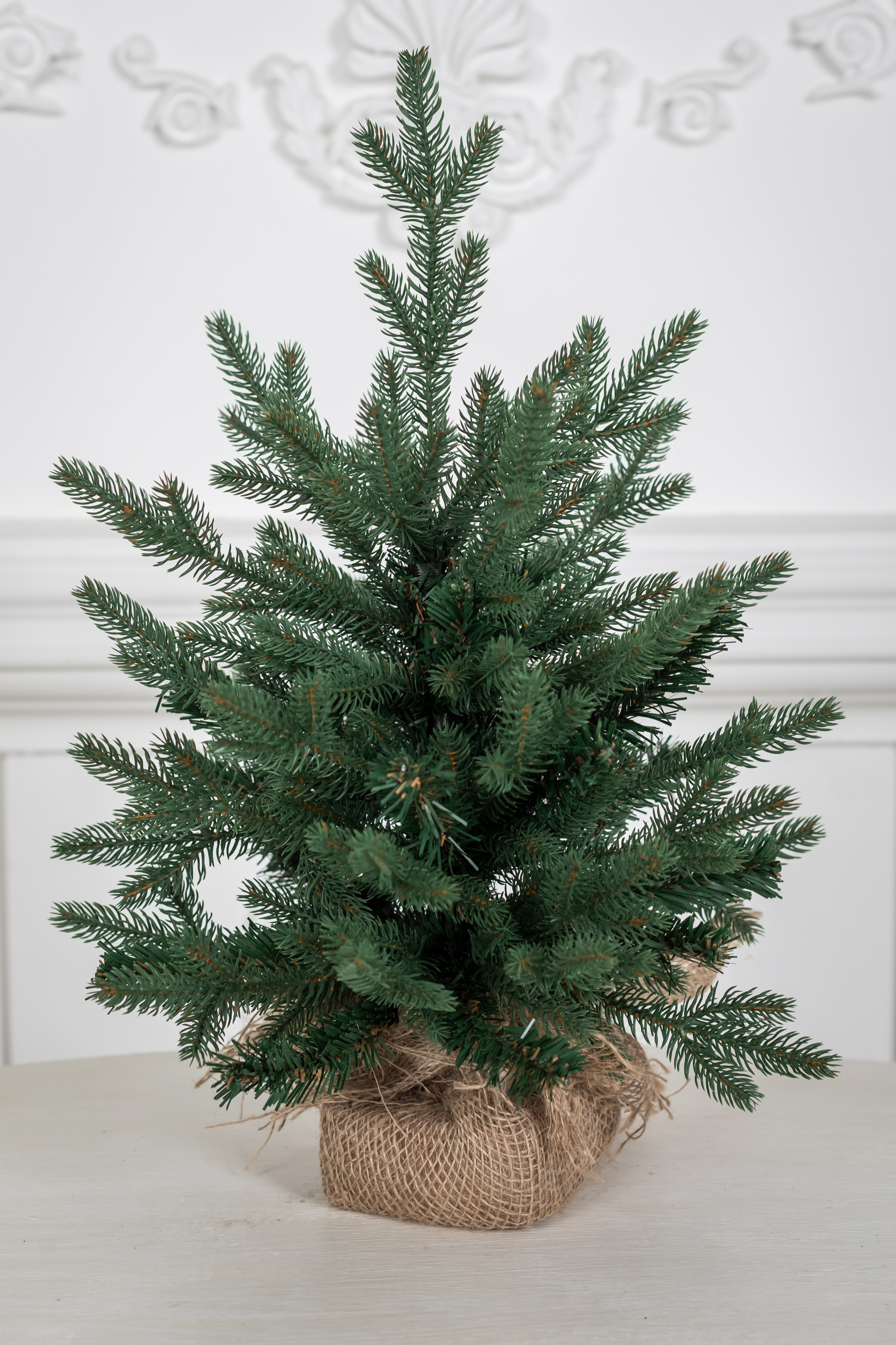 Ель "Царевна"