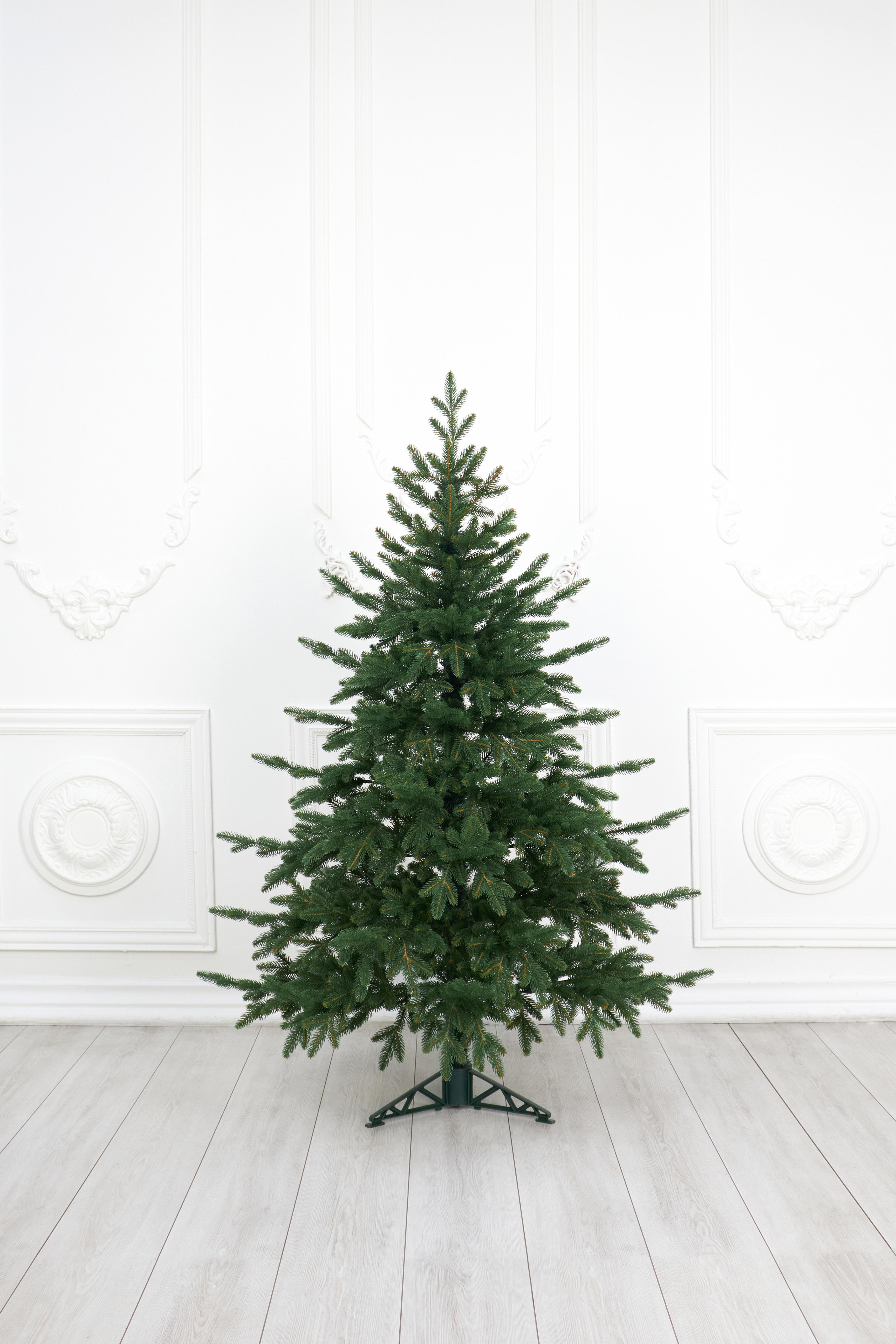 Ель "Карельская Премиум"