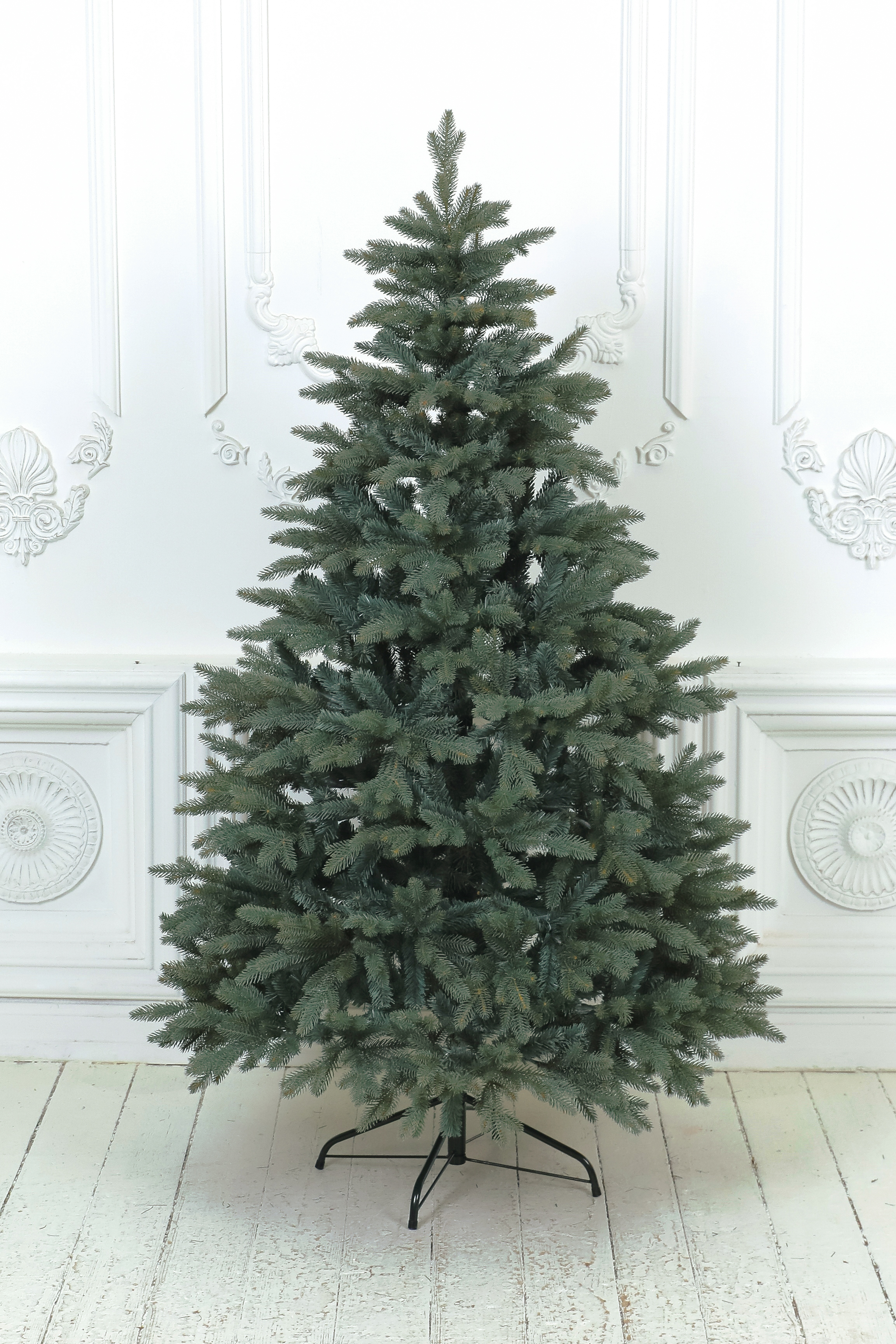 Ель "Датская голубая"