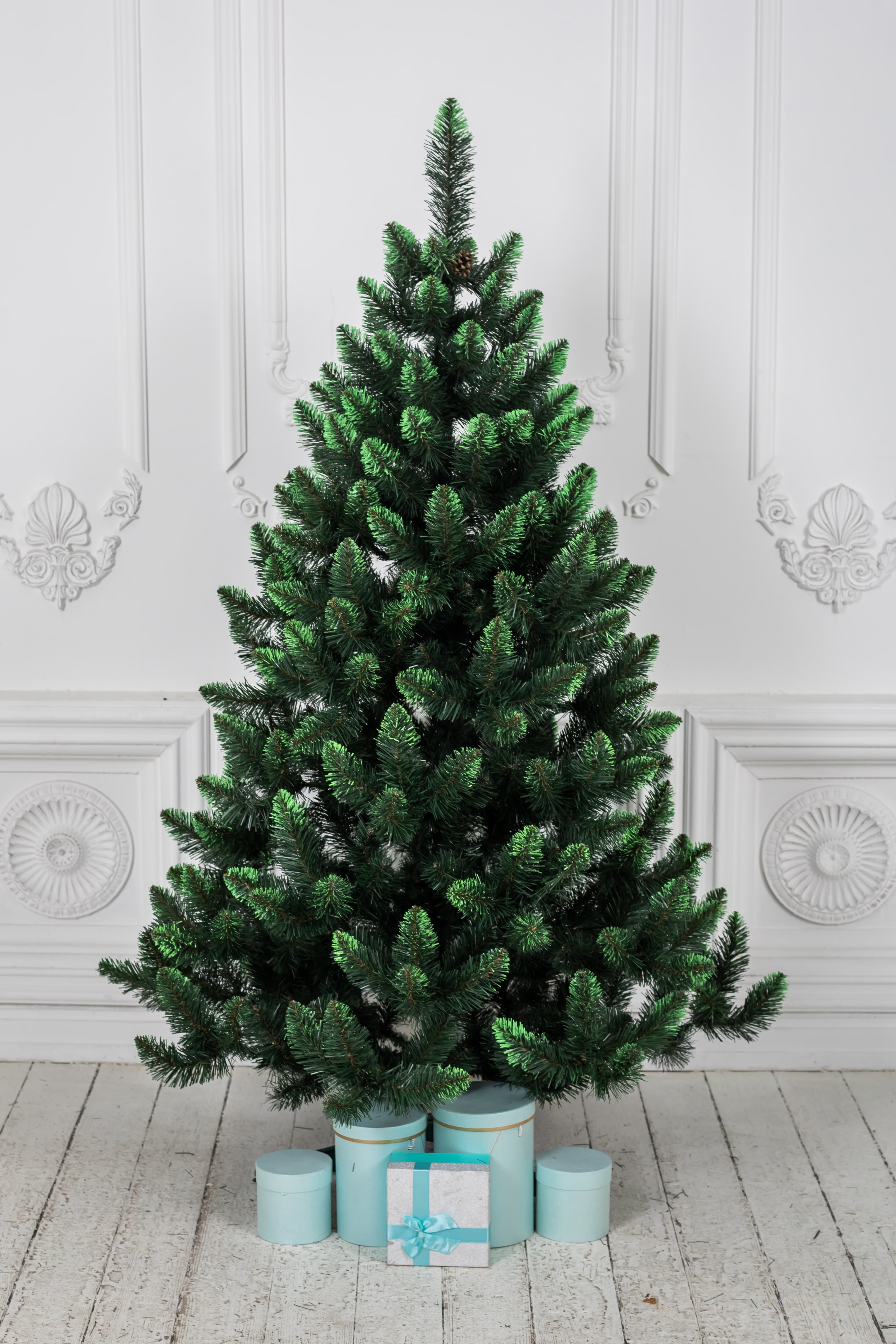 Ель "Кавказская" св.зелёные кончики