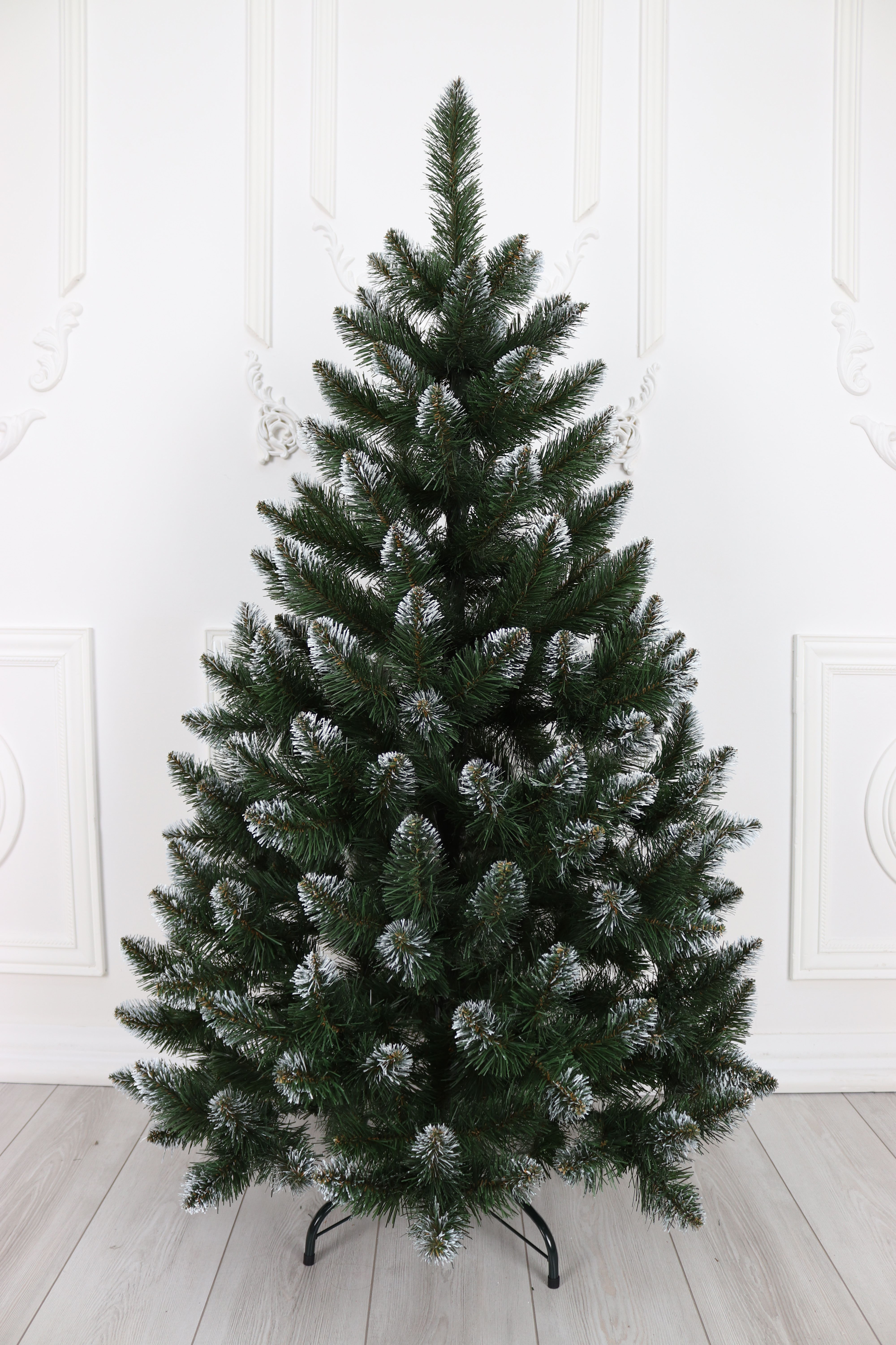 Ель "Кавказская Люкс" белые кончики