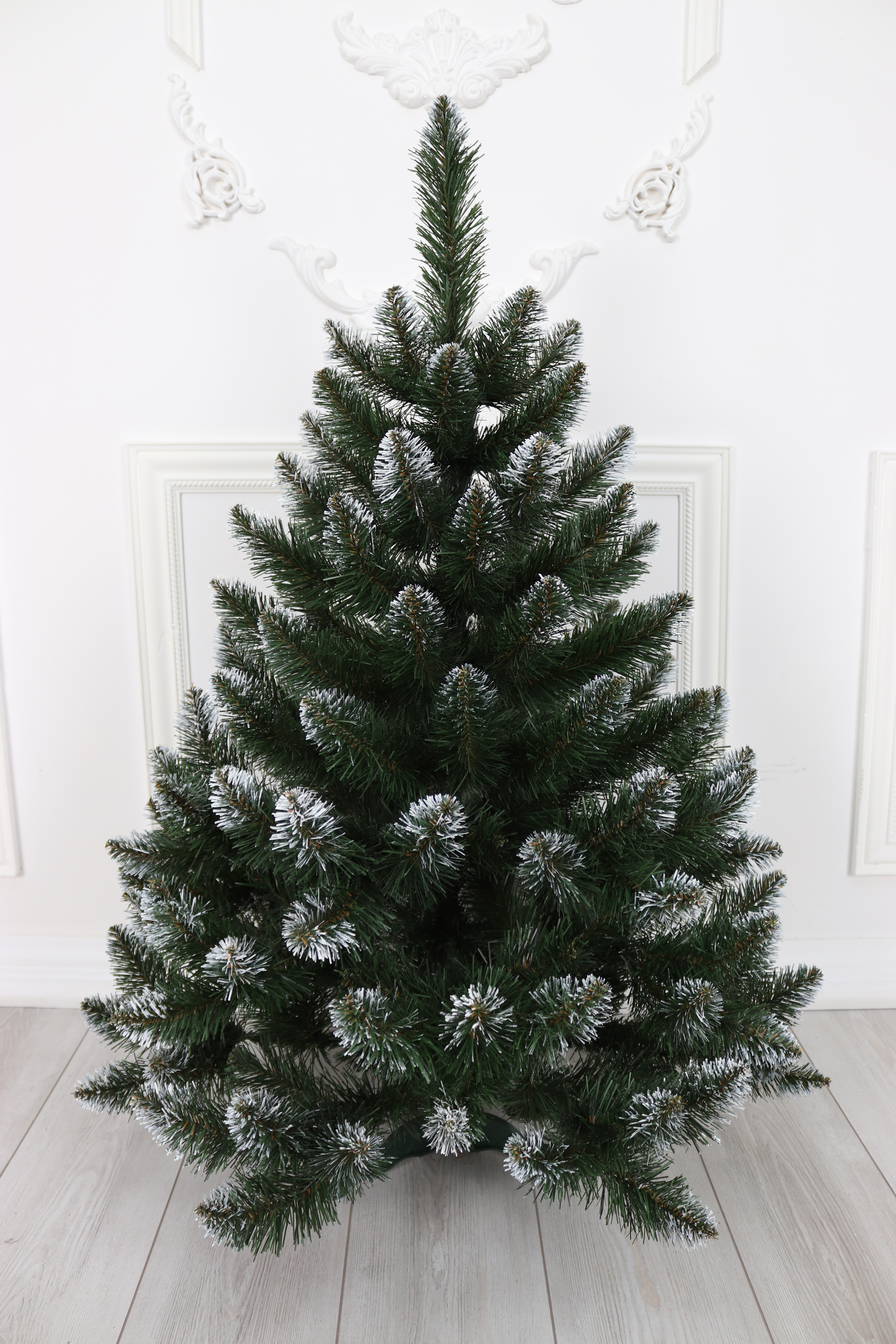 Ель "Кавказская Люкс" белые кончики 