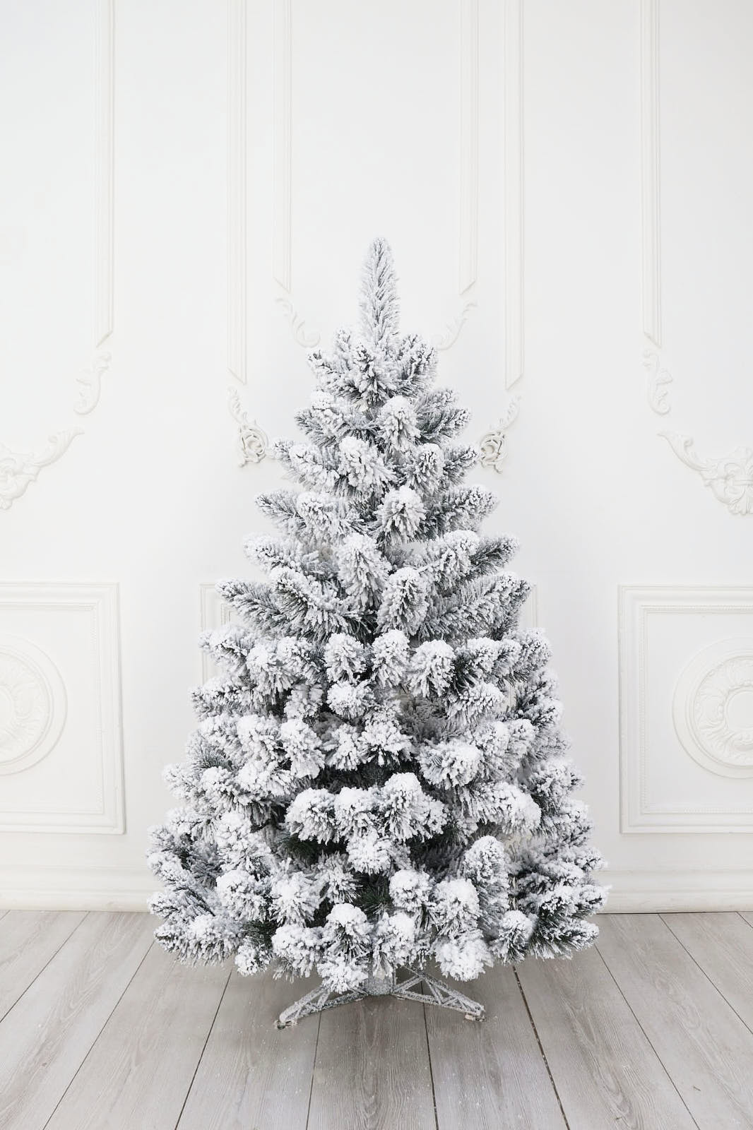 Ель "Кавказская Люкс" заснеженная  в коробке