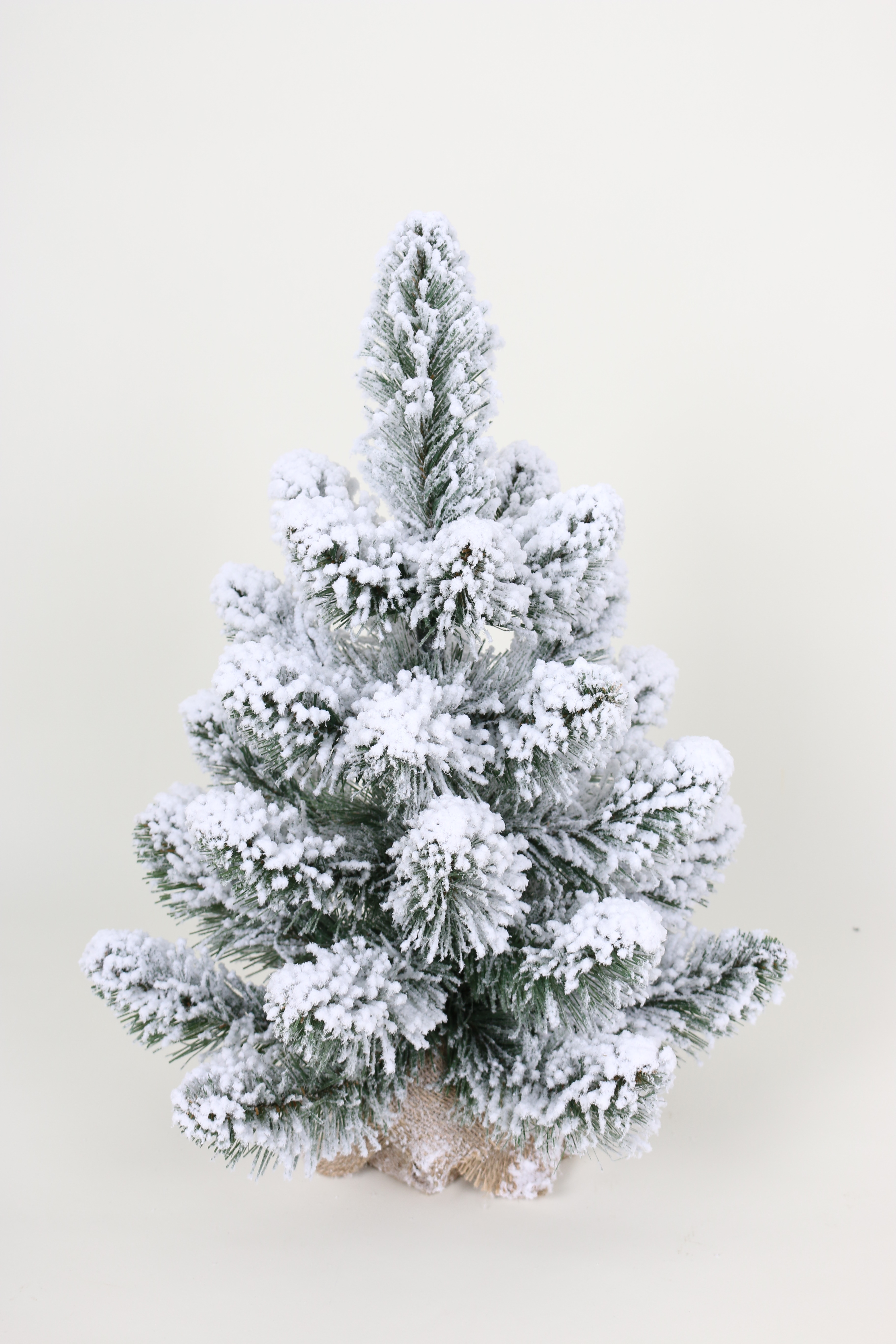 Ель Кавказская заснеженная  в коробке