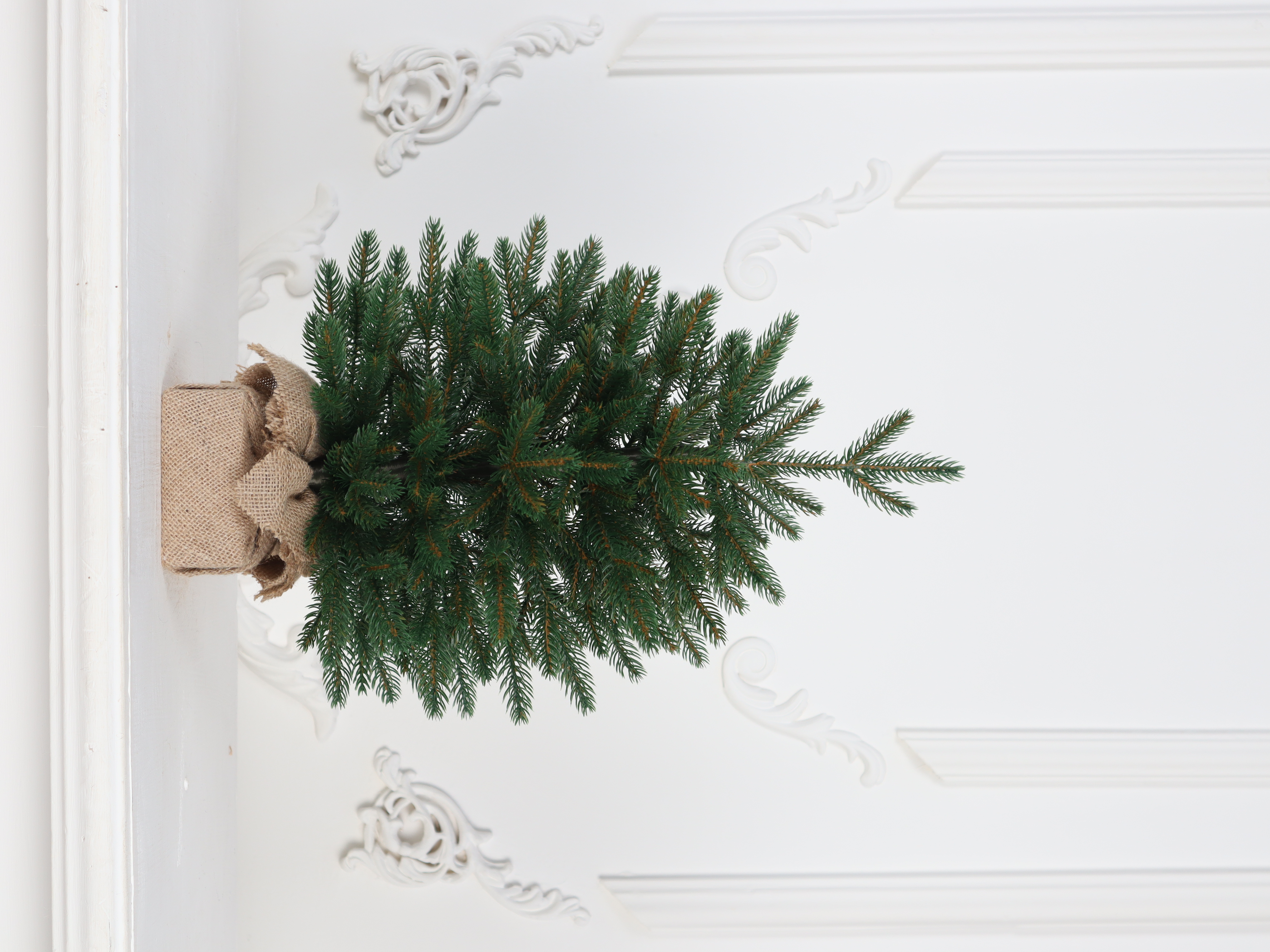 Ель "Французская Премиум" настольная