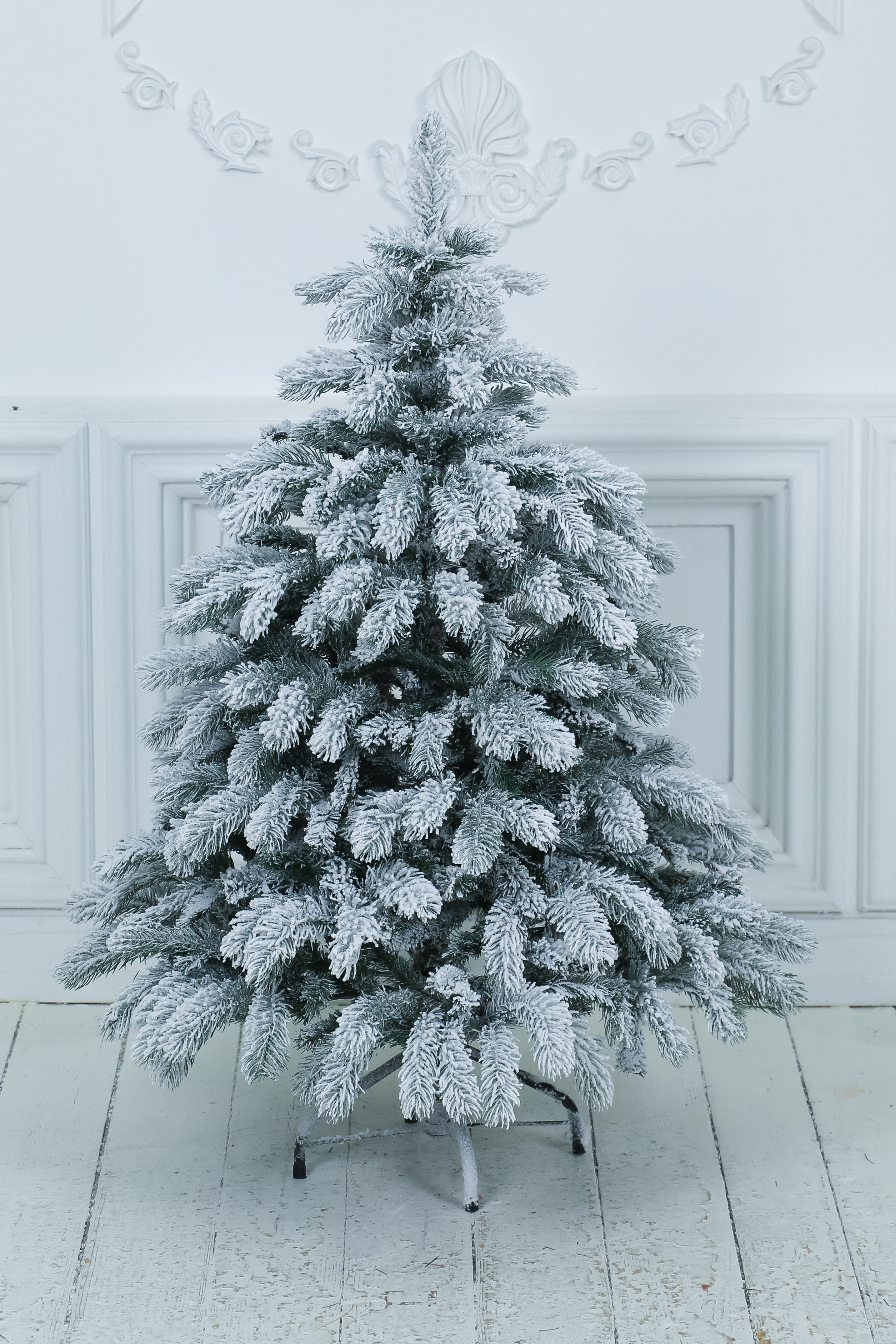 Ель "Исландия заснеженная"