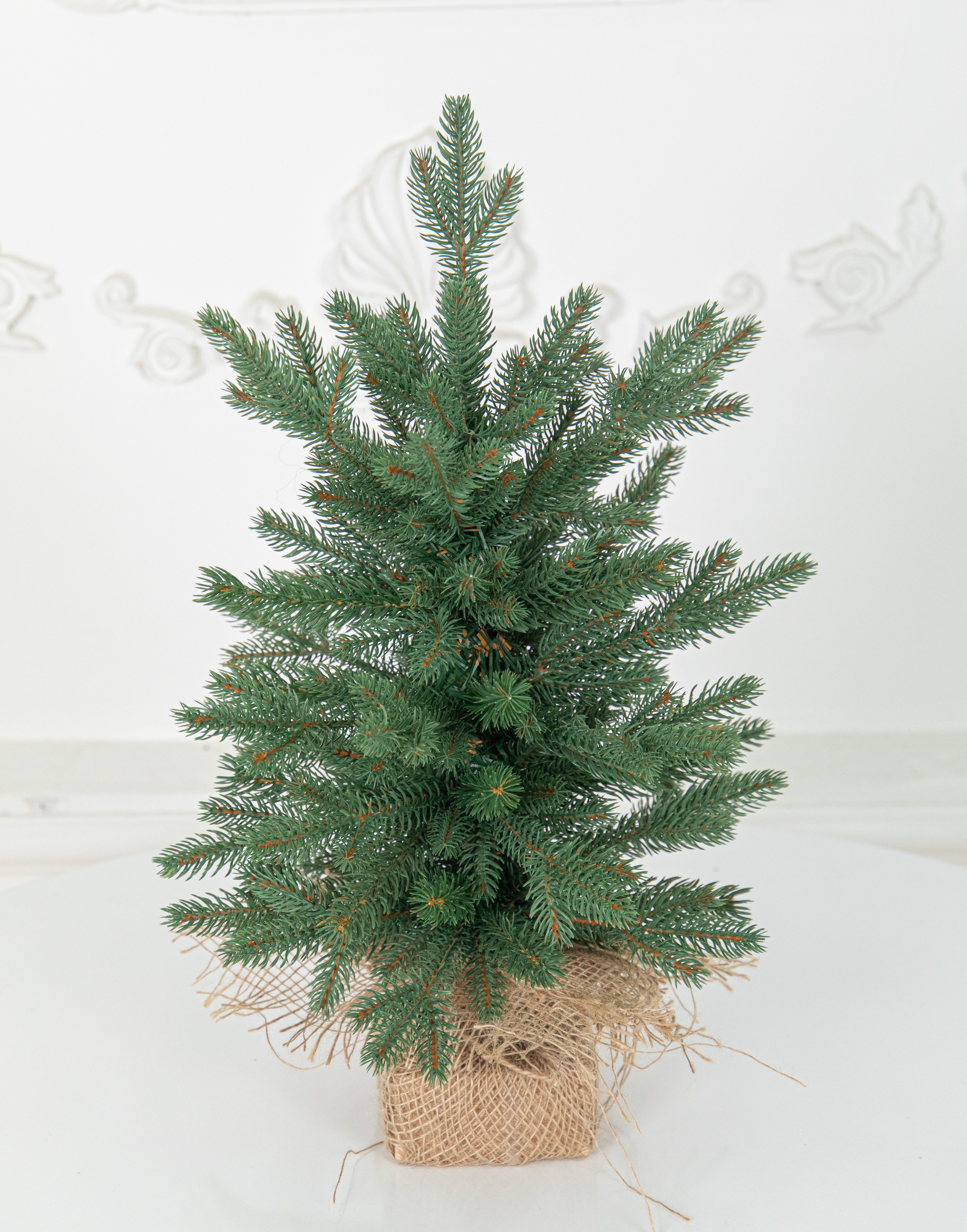 Ель "Царевна Премиум"