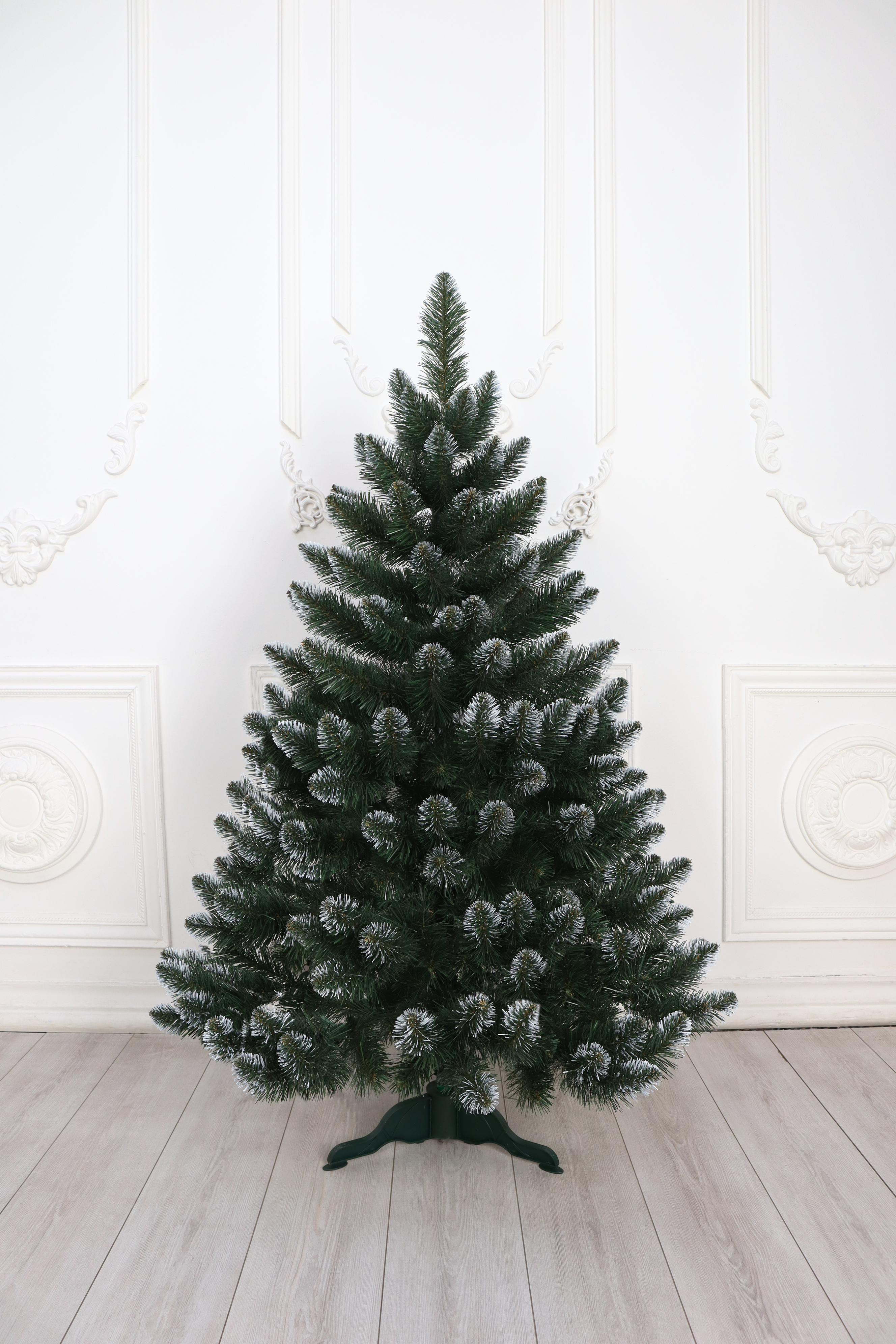 Ель "Кавказская" белые кончики