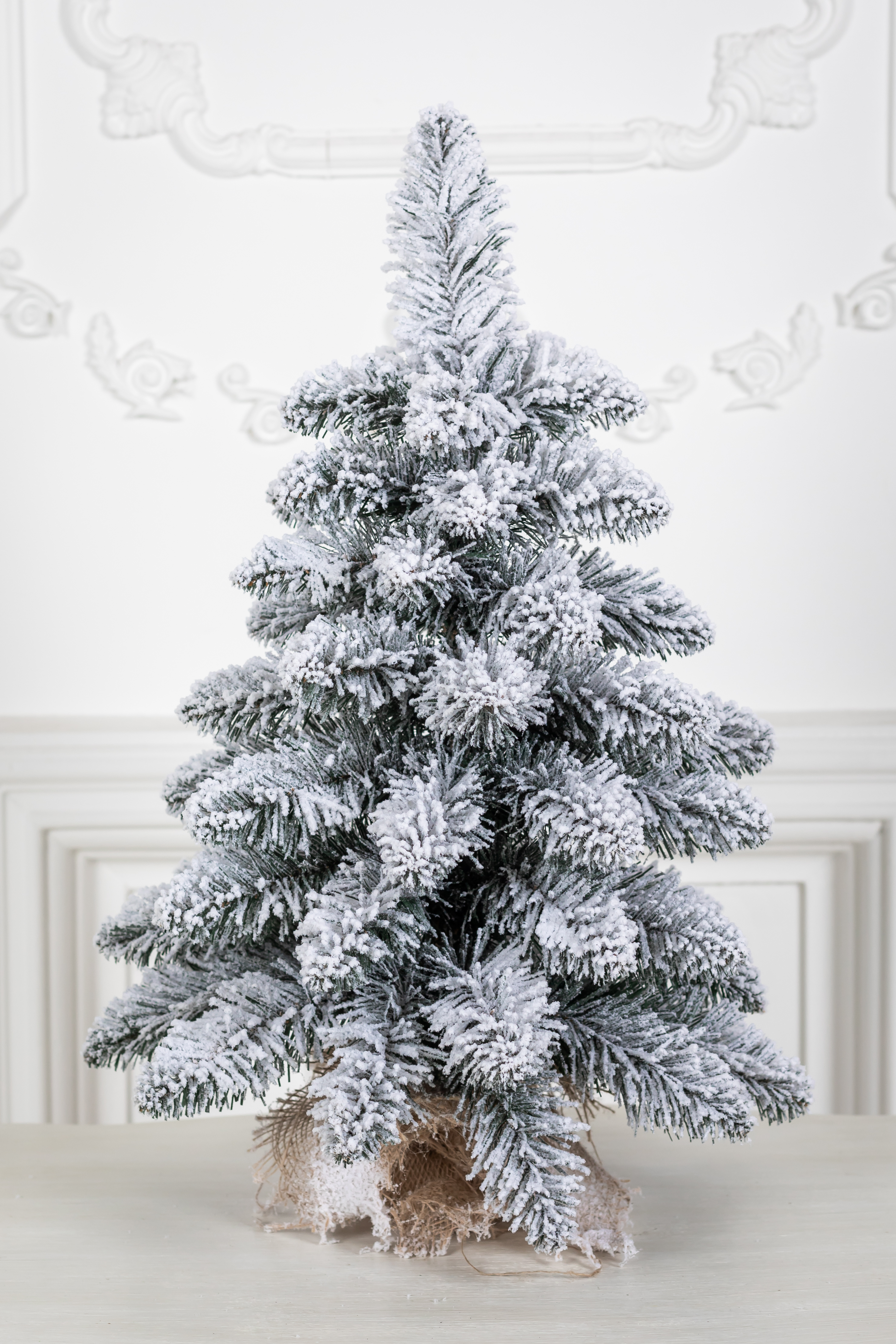 Ель Сибирская заснеженная в коробке