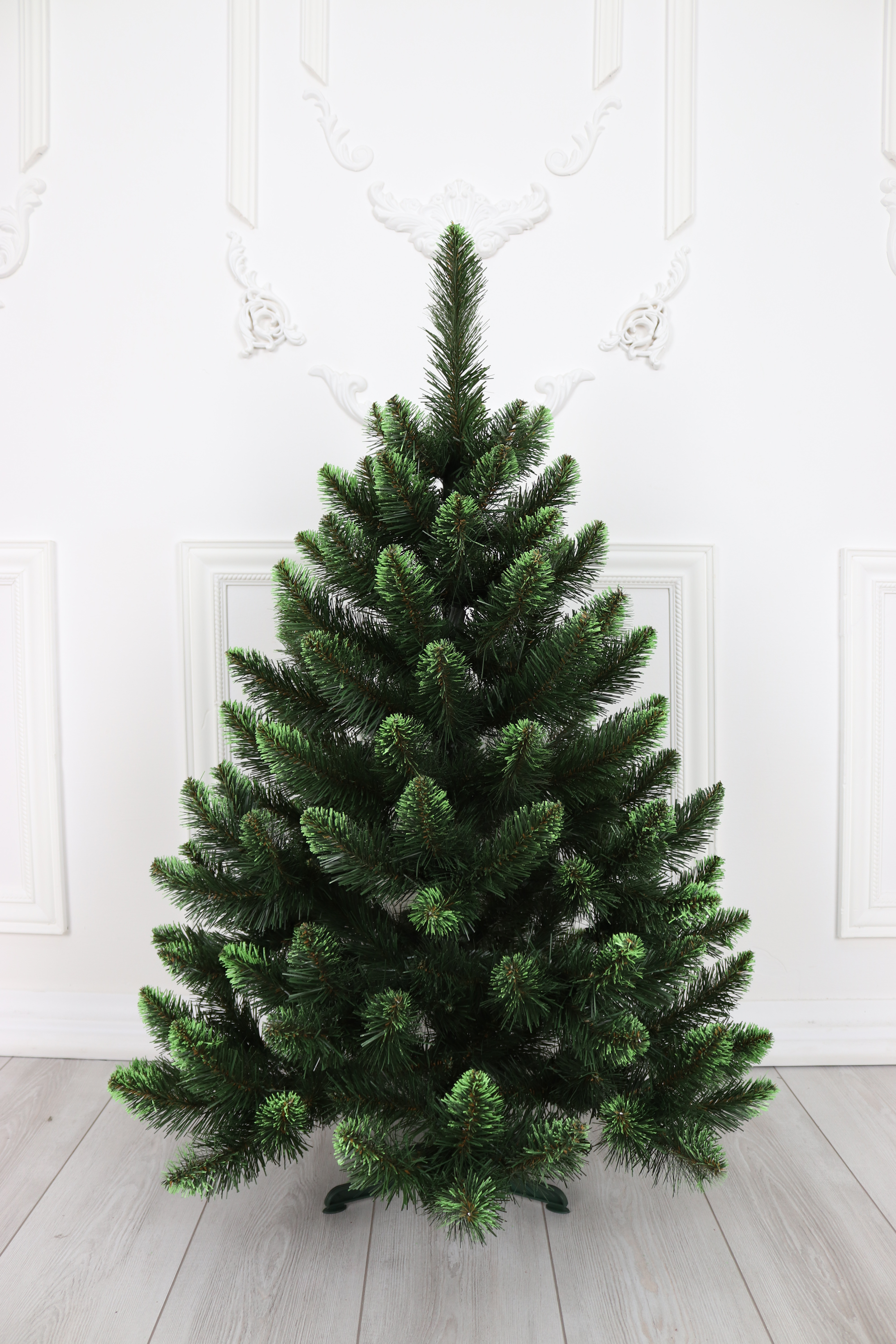 Ель "Кавказская Люкс" св.зелёные кончики