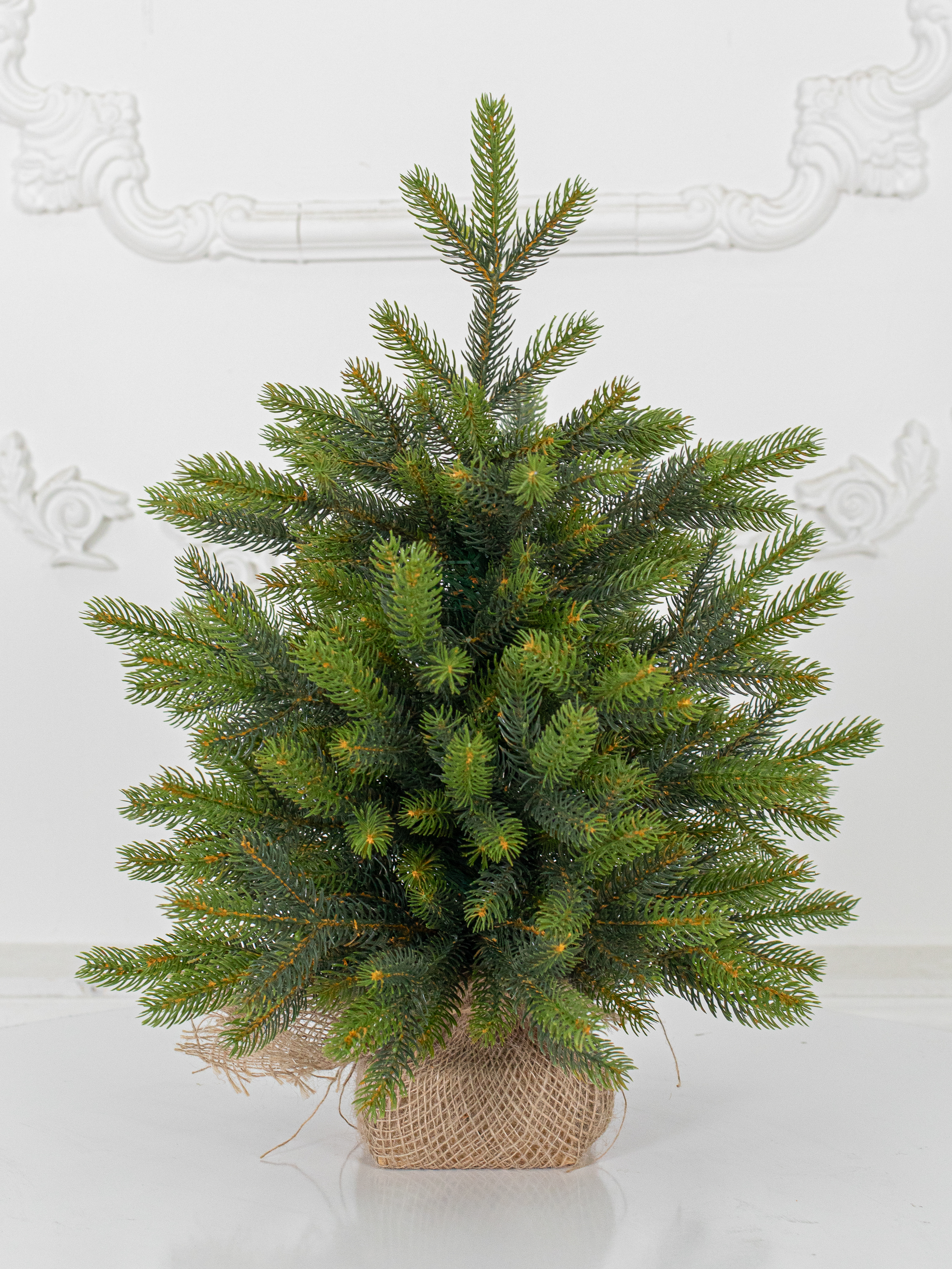 Ель "Императрица Премиум" двухцветная