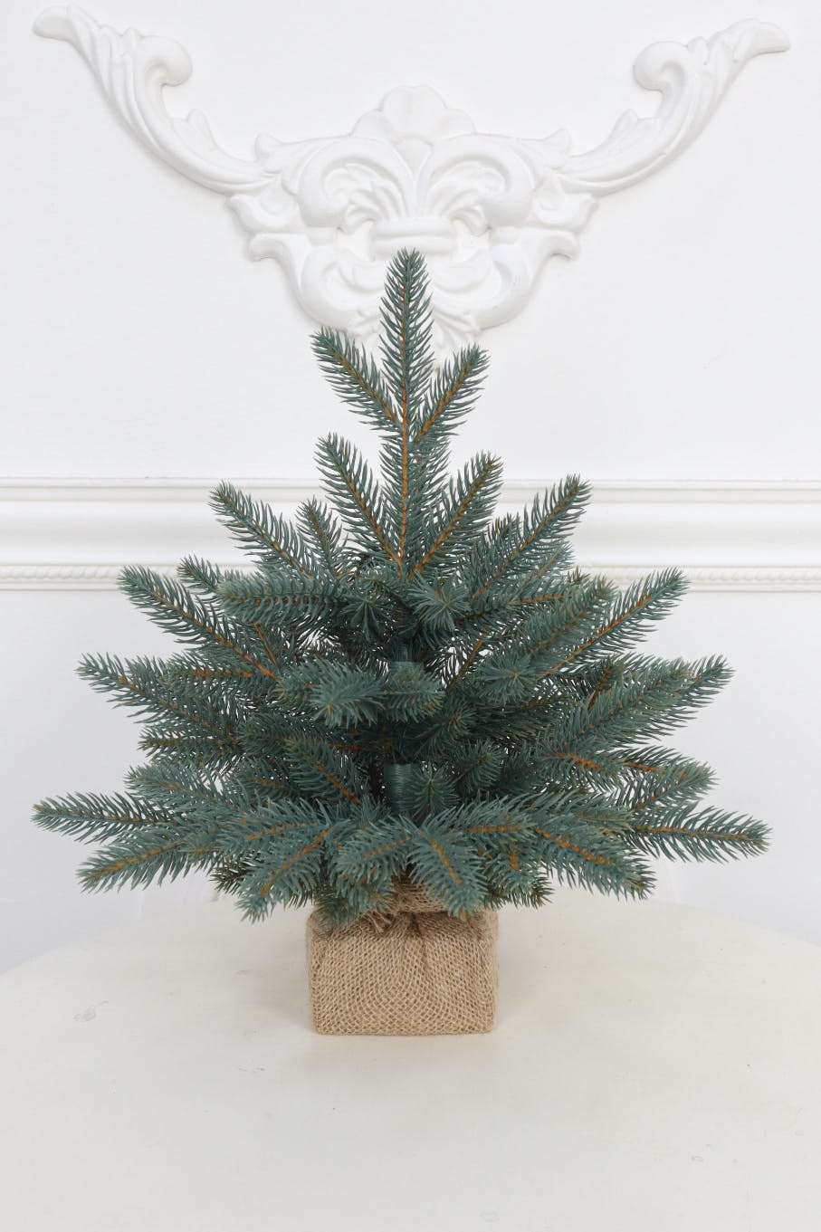 Ель "Датская голубая Премиум" 