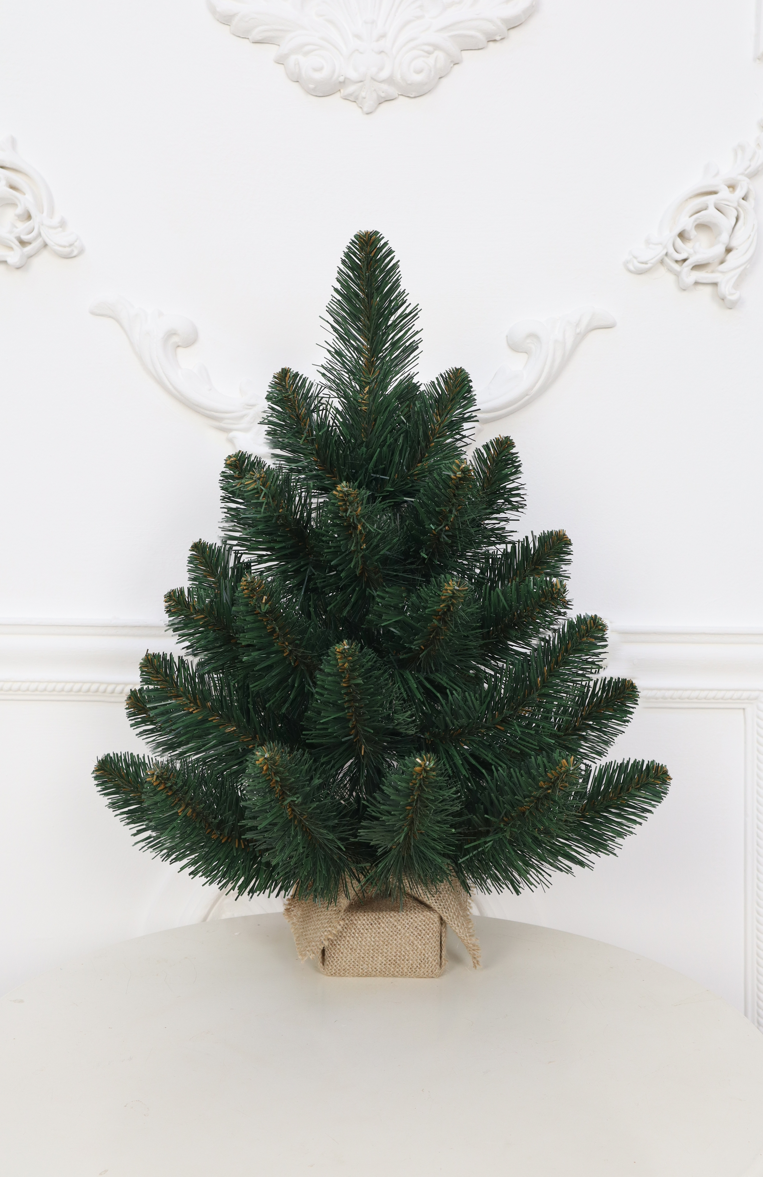 Ель "Кавказская" 