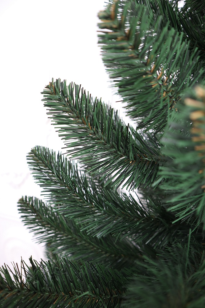 Ель «Кавказская Люкс»
