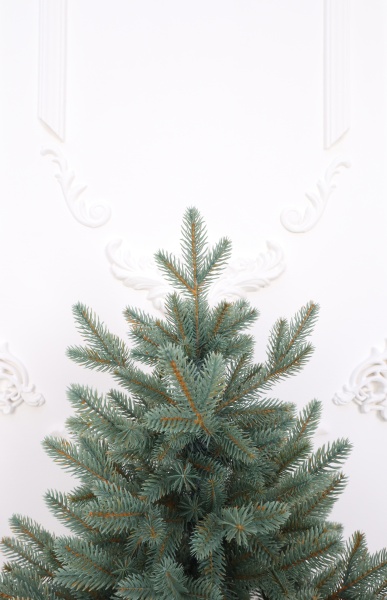 Ель "Датская голубая Премиум" 0,75 м