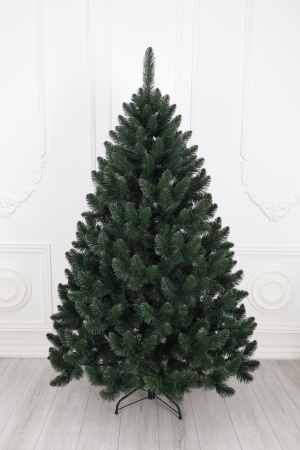 Ель "Кавказская Люкс" 3,0 м