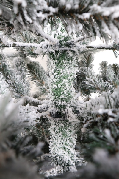 Ель "Венецианская" заснеженная (зонтик) 1,9 м