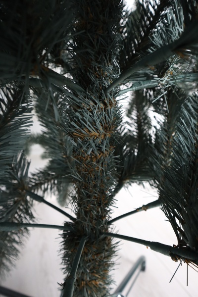 Ель "Эстонская голубая" 2,1 м