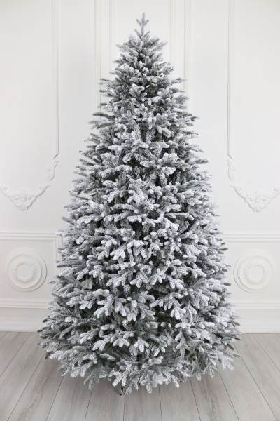 Ель "Царевна заснеженная" 3,15 м