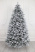Ель "Царевна заснеженная" 3,15 м