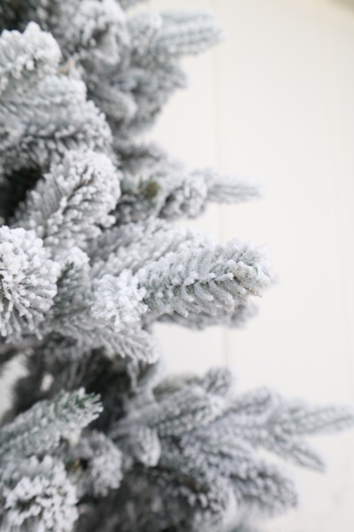 Ель "Испанская" заснеженная (зонтик) 1,9 м