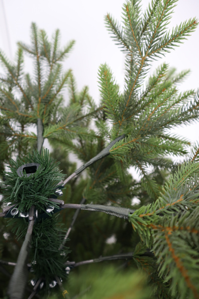 Ель "Императрица Премиум" двухцветная (зонтик) 1,2 м