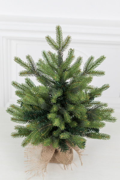 Ель "Императрица" двухцветная 0,5 м