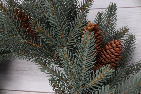 Рождественский венок "Датский голубой с шишками"