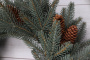 Рождественский венок "Датский голубой с шишками" Рождественский венок "Датский голубой с шишками"