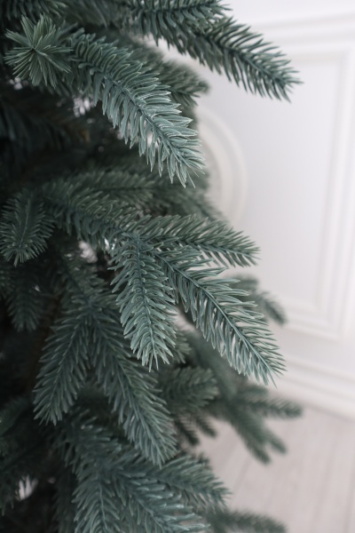 Ель "Эстонская голубая" 2,1 м