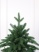Ель "Эстонская" 2,1 м