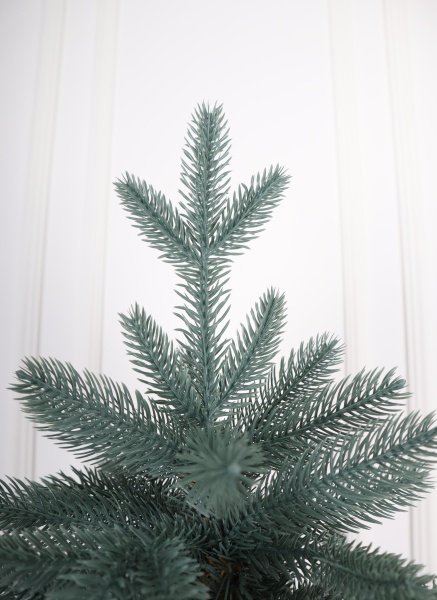 Ель "Эстонская голубая" 1,3 м