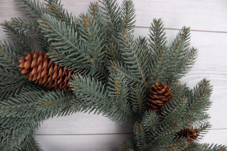 Рождественский венок "Датский голубой с шишками" Рождественский венок "Датский голубой с шишками"