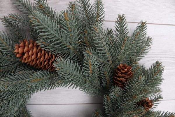 Рождественский венок "Датский голубой с шишками"