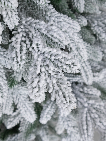 Ель "Царская Премиум" (зонтик) заснеженная 1,2 м