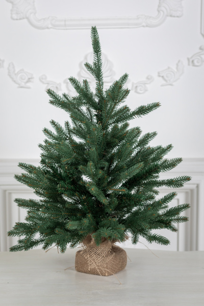 Ель "Царевна"  в коробке 0,75 м