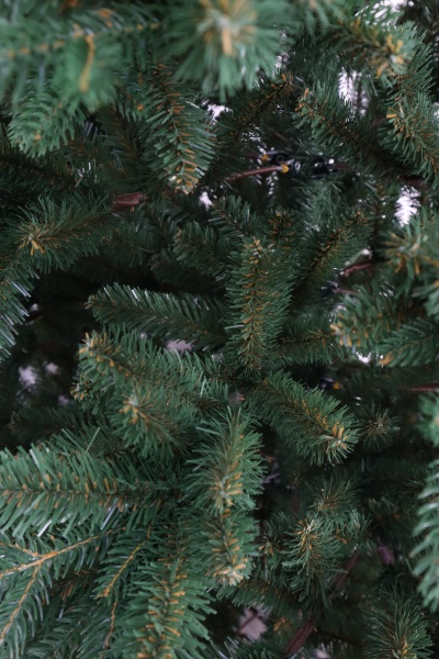 Ель "Испанская" (зонтик) 1,9 м