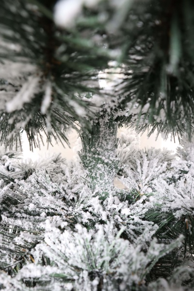 Ель "Кавказская Люкс" заснеженная  3 м. м/н