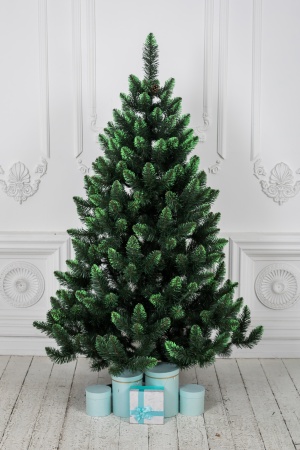 Ель "Кавказская" 2,9 м св.зелёные кончики