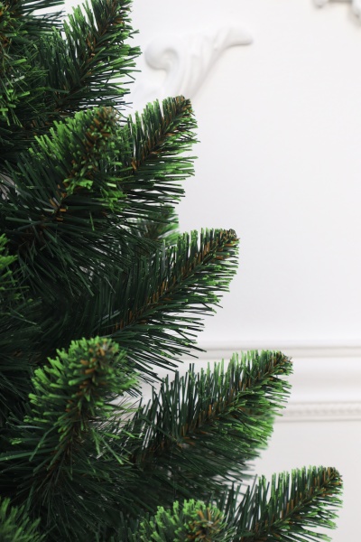 Ель "Кавказская" 0,6 м св.зелёные кончики