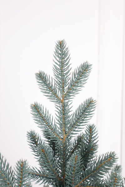 Ель "Карельская Премиум" голубая 2,3м Ель "Карельская Премиум" голубая 2,3м