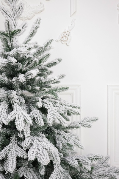 Ель "Царская Премиум" (зонтик) заснеженная 1,2 м