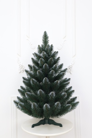 Ель "Кавказская" 0,9 м белые кончики