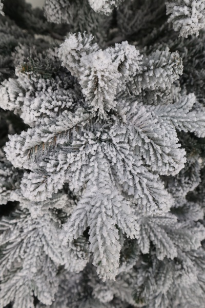 Ель "Испанская" заснеженная (зонтик) 1,9 м