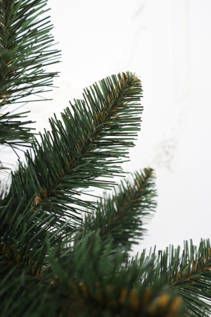 Ель "Кавказская Люкс" 3,0 м