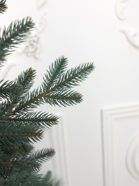 Ель "Карельская Премиум" голубая 1,5м