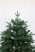 Ель "Испанская" (зонтик) 2,4 м