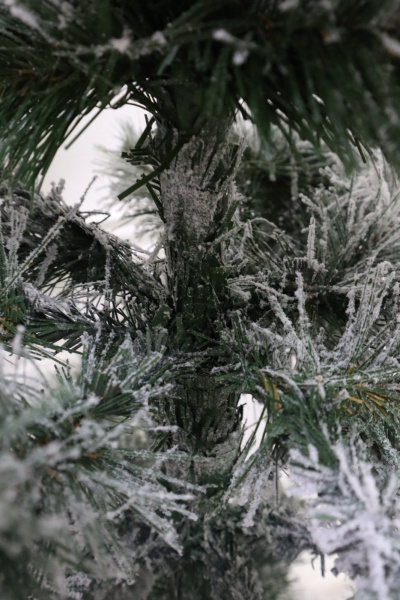 Ель "Сибирская Люкс" заснеженная 2,2 м. ветки вниз Ель "Сибирская Люкс" заснеженная 2,2 м. ветки вниз