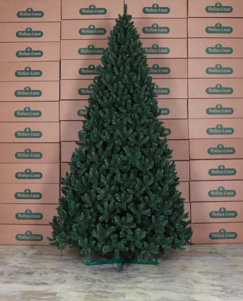 Ель "Кавказская внутренняя" 3,7 м Ель "Кавказская внутренняя" 3,7 м