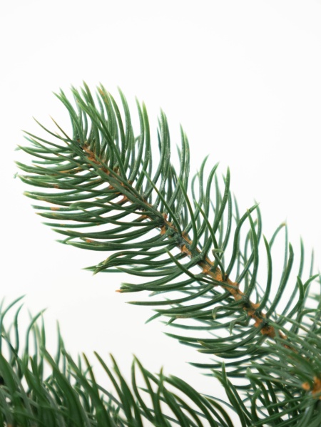 Гирлянда еловая "Голландская" 2,0 м 